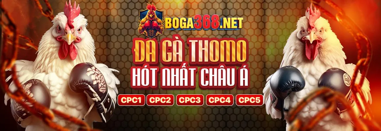 Đá gà trực tuyến 24kclub nhà cái